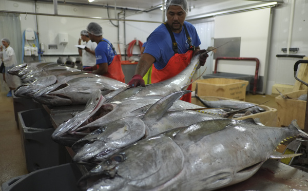 Compétences maritimes : un nouveau campus pour le Fenua