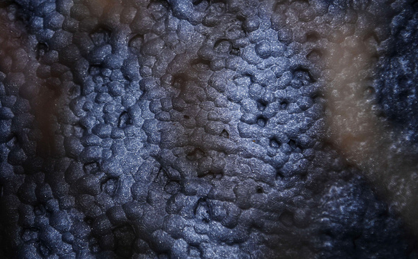 Terres rares: la Chine renforce ses contrôles à l'exportation de technologies