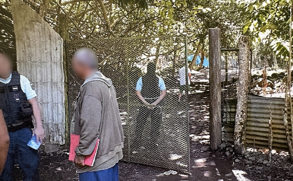 Le ras-le-bol d'un apiculteur de Paea