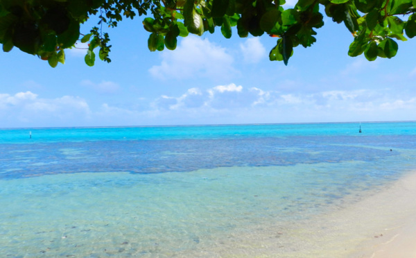 Moorea : un exercice pour éviter les noyades