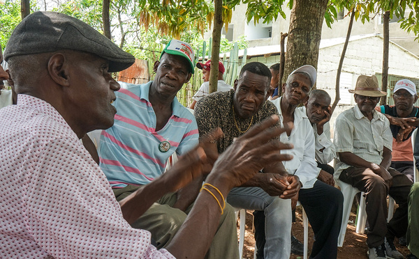 À La Réunion, la canne à sucre en perte de vitesse malgré un soutien public massif