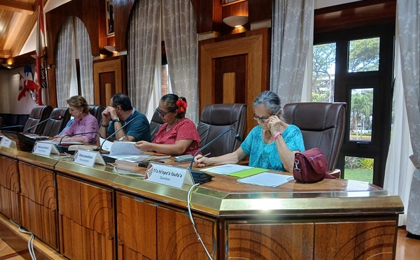 Autosaisine sur les violences intrafamiliales