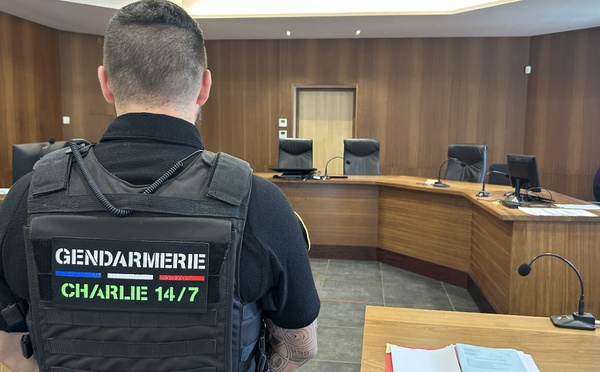 Huit mois de prison ferme pour un jeune récidiviste auteur de deux cambriolages