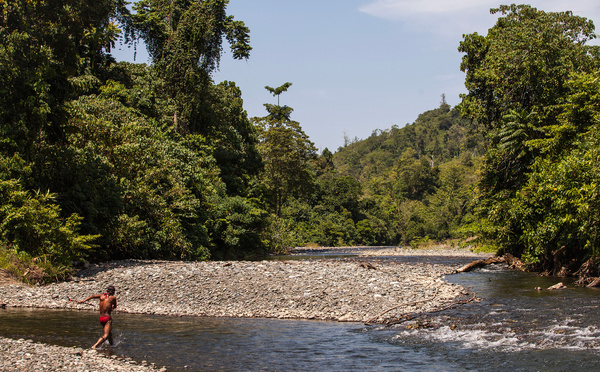 La moitié des peuples autochtones coupés du monde menacés de disparition dans les dix ans, selon une ONG