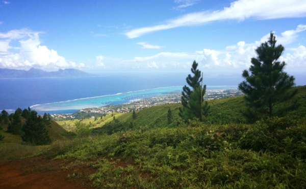 Punaauia : La randonnée de Vaitavere bientôt interdite au public?