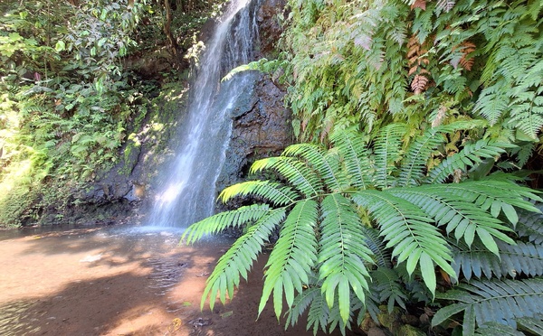 ​Bien-être au bord de l’eau à Vaipahi