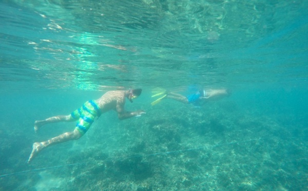 La Fondation Lucie cherche des photographes pour exposer lors de la Cop 22