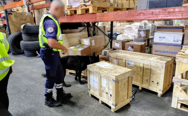 Les douanes présentes sur “l'ensemble des vecteurs”