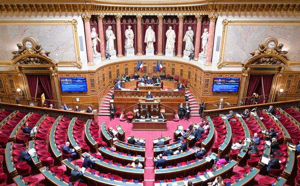 Allocations chômage, prestations sociales, formation... Le Sénat se divise sur des mesures anti-fraudeurs