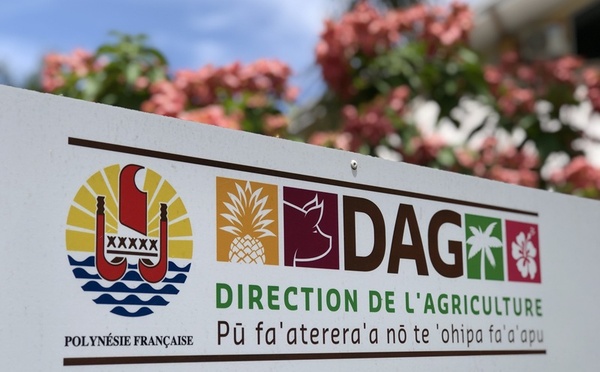 La DAG sous pression syndicale et juridique