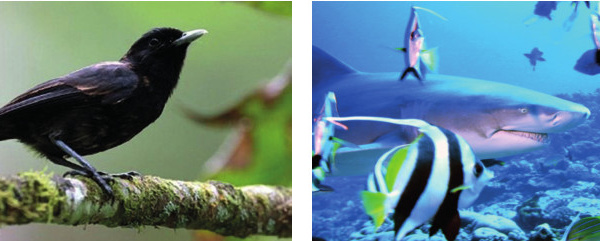 Vous avez un projet pour préserver la biodiversité ? 