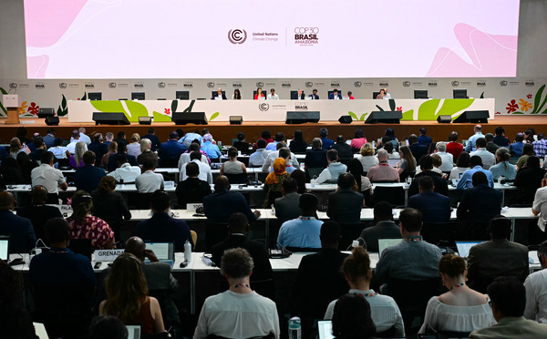 En Amazonie, le monde se contente d'une preuve de vie de la coopération climatique