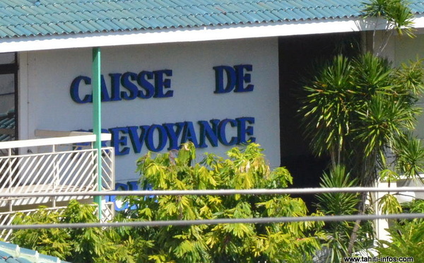 Le Tapura interroge le gouvernement sur le déficit de la branche maladie