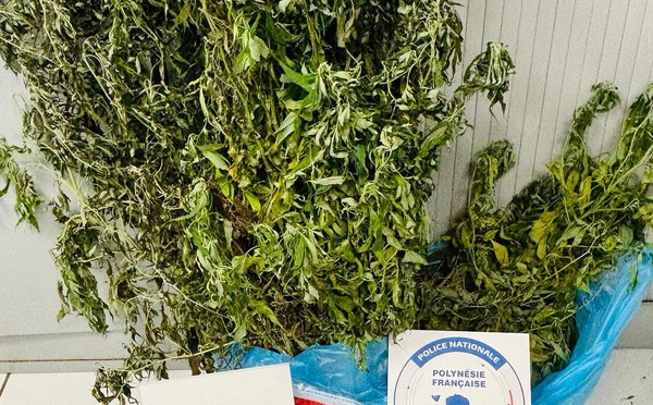 Démantèlement d'un nouveau réseau de stupéfiants