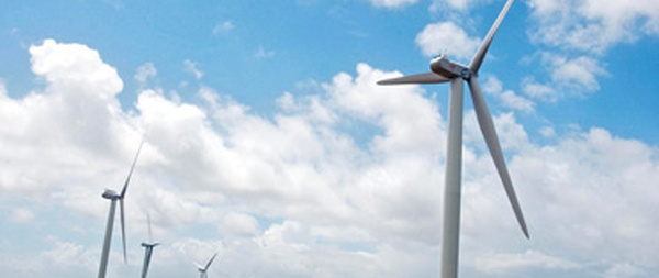 Le gouvernement veut revoir le soutien public aux énergies renouvelables