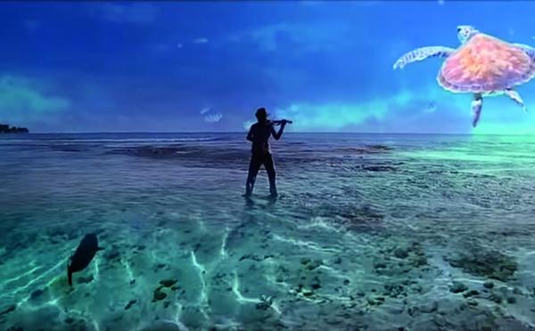 "Save me now - Honu iti e", le clip de Pheal'n pour sauver les tortues