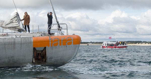 La goélette Tara va partir à la recherche des "coraux de demain"