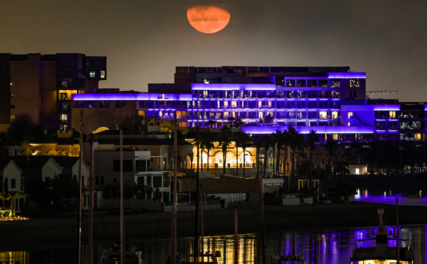 L'IA, nouveau pétrole des Emirats arabes unis?