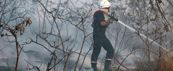 La Nouvelle-Calédonie touchée par d'importants feux de forêt