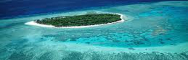 Même un faible réchauffement du climat affectera la Grande barrière de corail d'Australie