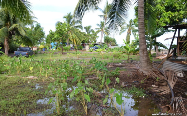 Mahana Beach : "On ne s’en ira pas d’ici", martèlent les irréductibles d’Outumaoro