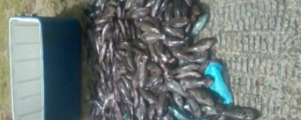 Moorea : Des pêcheurs au filet ont été interpellés mardi dernier