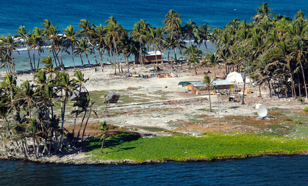 Biodiversité: la LPO alerte sur "l'urgence" d'éradiquer les rats à Clipperton