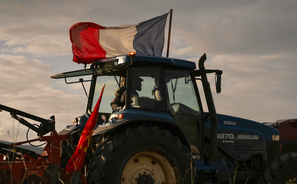 Dermatose bovine: face à la mobilisation agricole qui enfle, le gouvernement appelle à "la responsabilité" et à "l'apaisement"