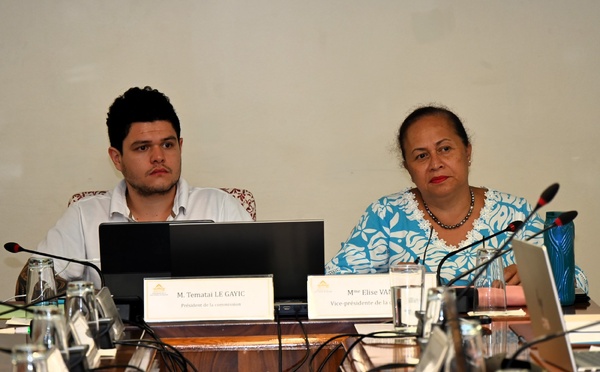 ​Aides publiques, la difficile quantification