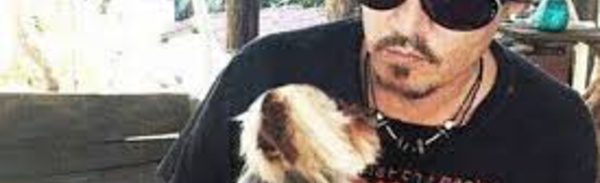 Chiens indésirables en Australie: Canberra se moque des étranges excuses de Johnny Depp