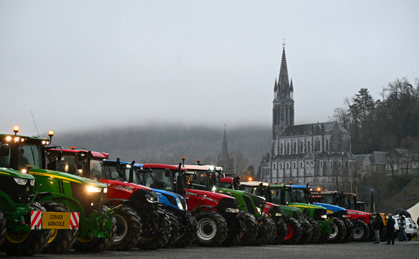 Mercosur: les syndicats agricoles reçus par Macron, la dermatose en toile de fond