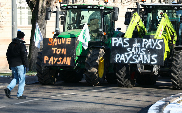 Les agriculteurs bravent les interdictions autour de Toulouse et vers Paris