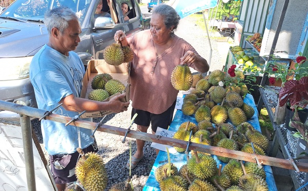 ​Les durians, “une bénédiction” à Papeari