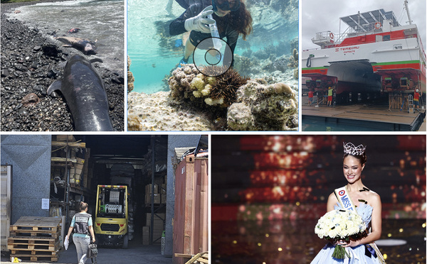 Rétrospective : Les faits marquants de l’actualité locale en 2025