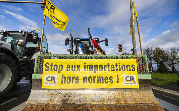 Le monde agricole ne décolère pas contre l'accord Mercosur, voté à Bruxelles