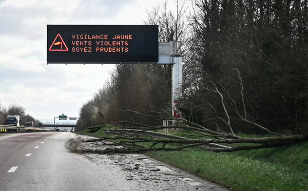 Tempête Goretti: 320.000 foyers sans électricité, l'EPR de Flamanville arrêté