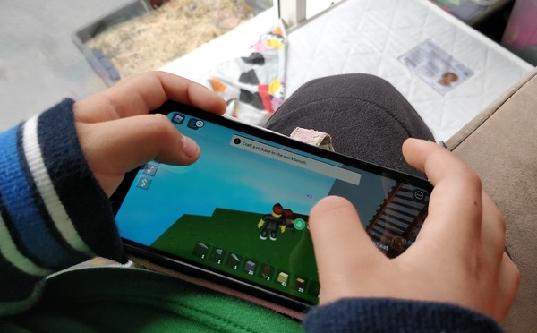 Roblox, "un repaire de pédocriminels"