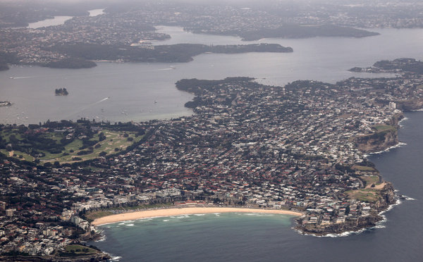 Un surfeur blessé par un requin à Sydney, la 3ème attaque en deux jours