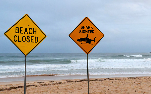 Australie: appel à éviter les plages dans l'est après des attaques de requins