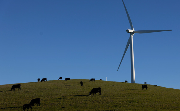 L'électricité éolienne et solaire prend le pas sur les fossiles dans l'UE