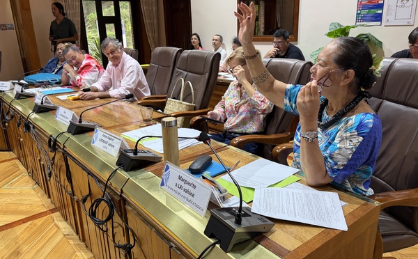 Smig : le Cesec rejette le changement d’indice proposé par le Pays