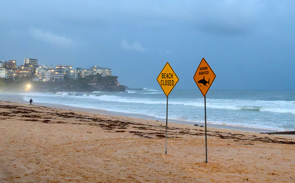 Australie: un enfant de 12 ans meurt des suites d'une attaque de requin