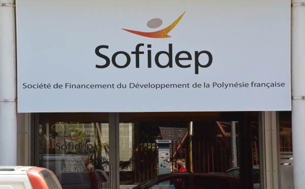 La Sofidep est solide mais pourrait préciser son champ d'activité