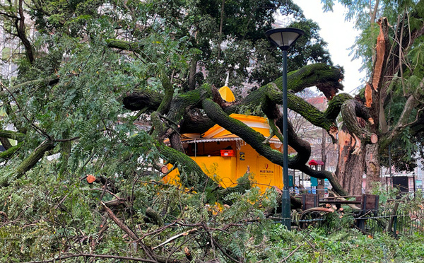 La tempête Kristin fait au moins quatre morts au Portugal