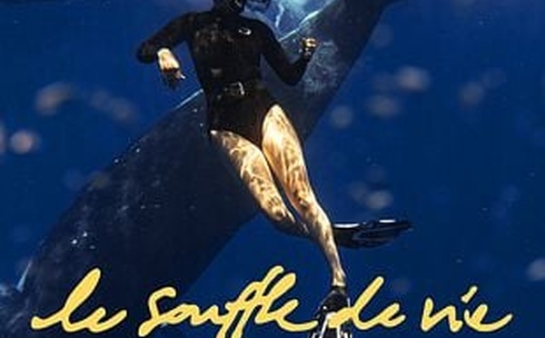 Natoo : de YouTube aux baleines de Polynésie