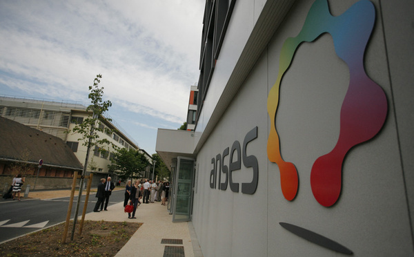 Cadmium, mercure ou plomb dans l'alimentation: une exposition "toujours préoccupante" des Français, selon l'Anses