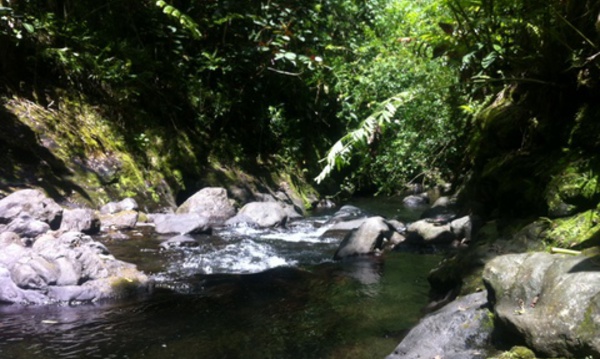 Le corps sans vie d'un homme de 22 ans découvert dans la vallée de la Fautaua