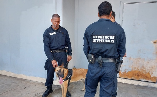 Vacances sous haute surveillance