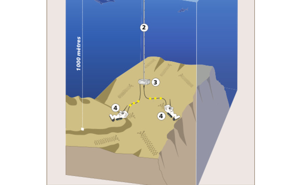 Terres rares : l'IRD répond point par point à l'UPLD
