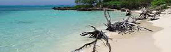 A Poé en Nouvelle-Calédonie, la peur du requin effraie les touristes